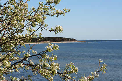 Frühling auf der Halbinsel Mönchgut